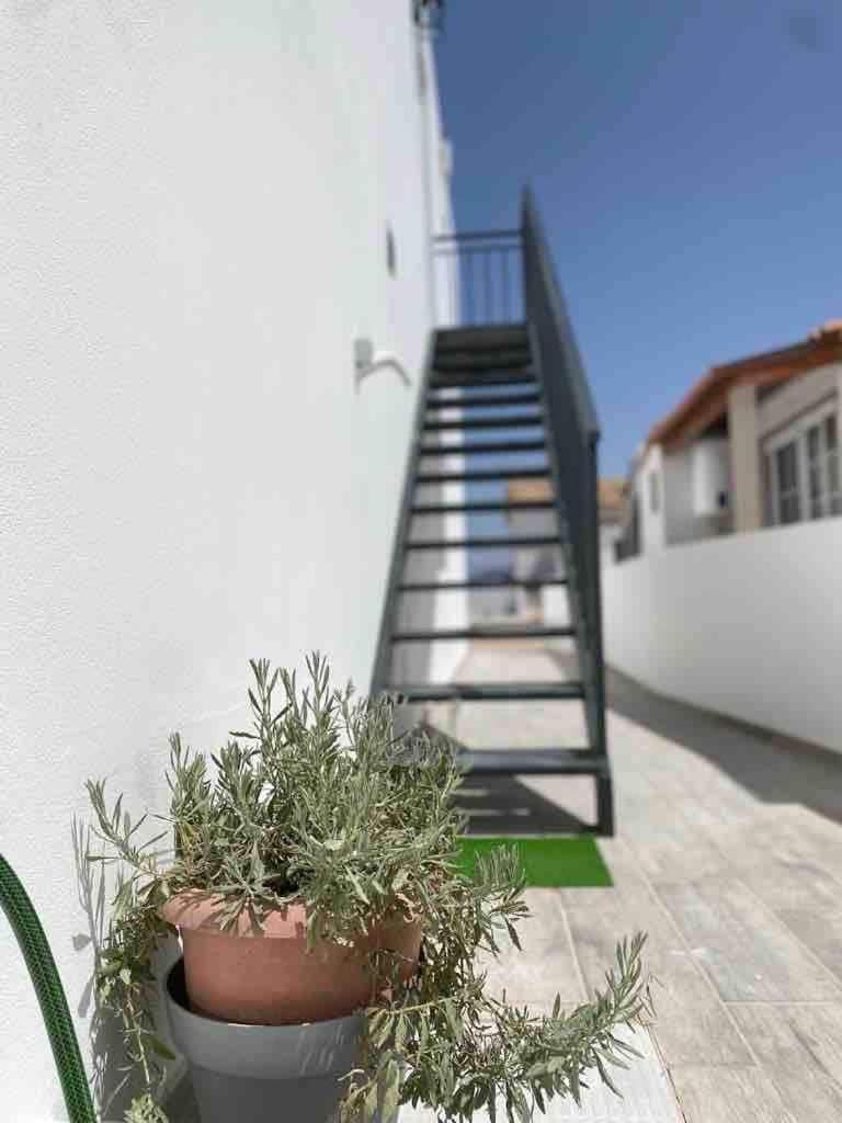 Casa Ramiro T2 Paradisiaco Entre O Mar E A Ria Ilha da Culatra Eksteriør bilde